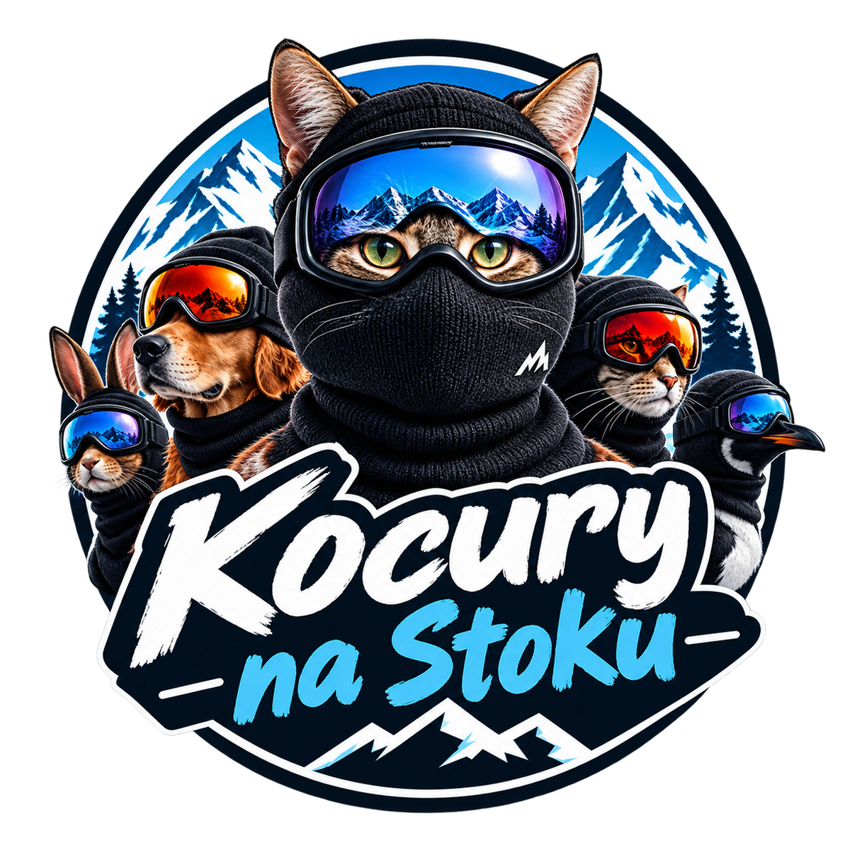 Kocury na Stoku